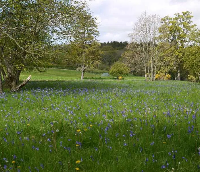 walkmill-campsite-warkworth-e7t4n