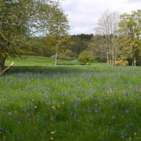 walkmill-campsite-warkworth-e7t4n