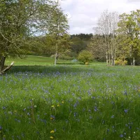 walkmill-campsite-warkworth-e7t4n