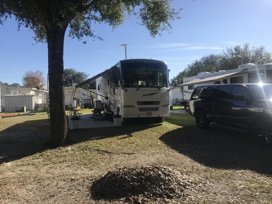 palm-view-gardens-rv-resort-zephyrhills-8ydd5