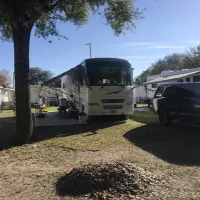 palm-view-gardens-rv-resort-zephyrhills-8ydd5