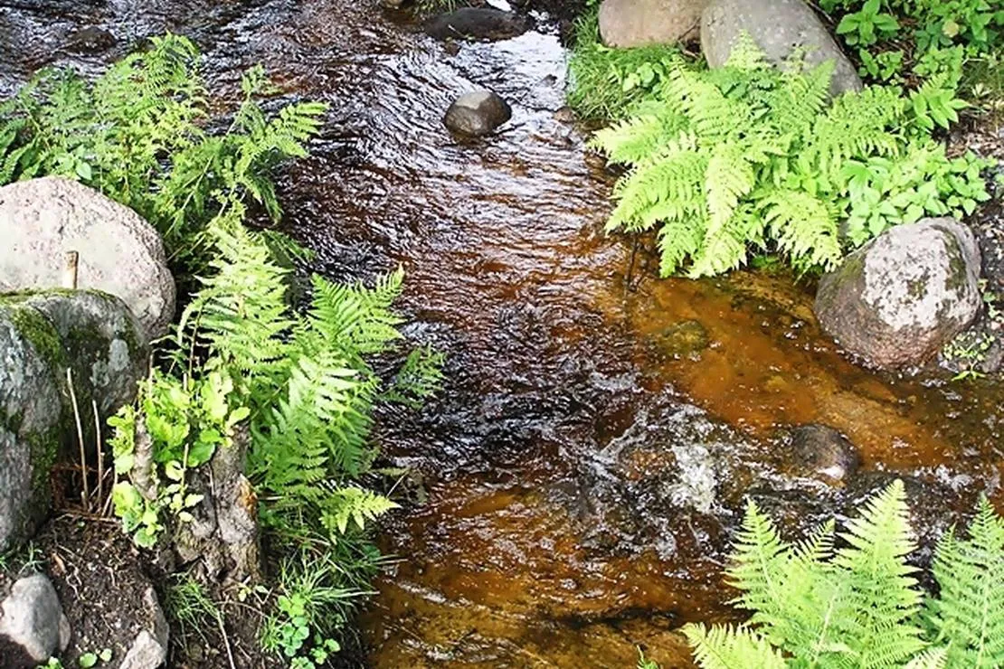malsanna-camping-park-aneby-qmfhv