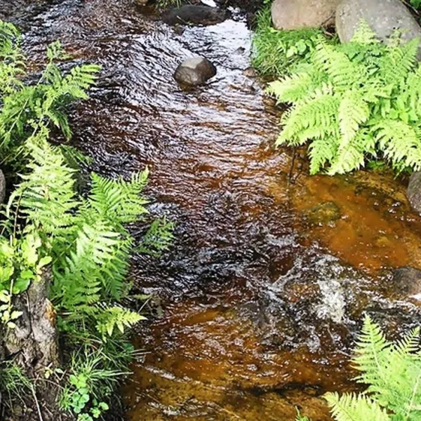 malsanna-camping-park-aneby-qmfhv