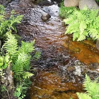 malsanna-camping-park-aneby-qmfhv