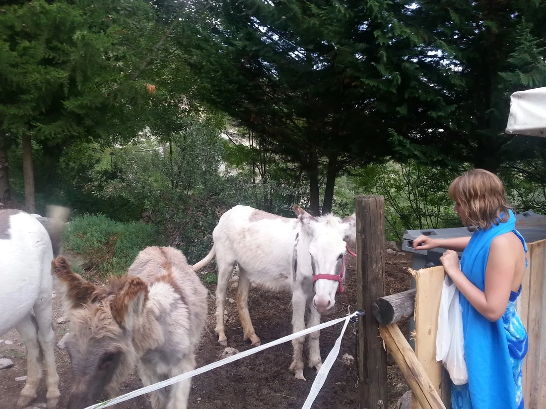 domaine-naturiste-lorigan-frankrijk-cpchi