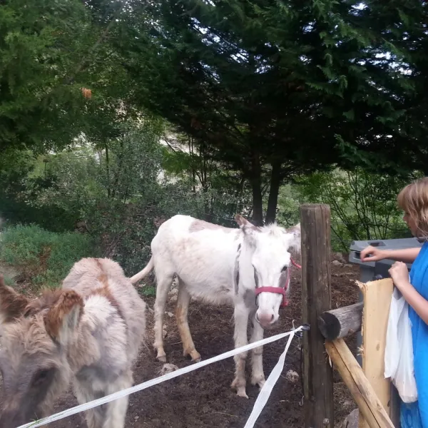 domaine-naturiste-lorigan-frankrijk-cpchi