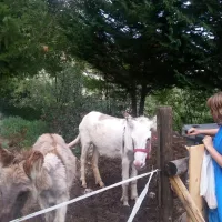 domaine-naturiste-lorigan-frankrijk-cpchi