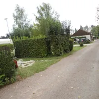 le-tertre-dienville-aube-lvqph