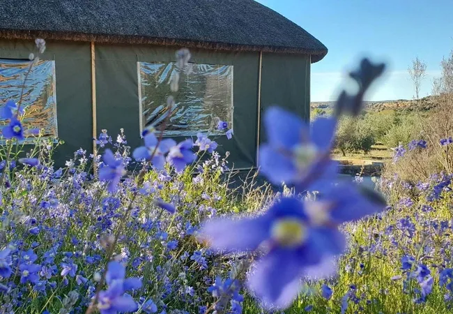 de-pakhuys-glamp-and-camp-clanwilliam-road-clanwilliam-9ucon
