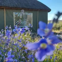 de-pakhuys-glamp-and-camp-clanwilliam-road-clanwilliam-9ucon