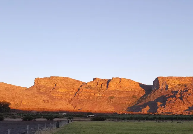 de-pakhuys-glamp-and-camp-clanwilliam-road-clanwilliam-julbe