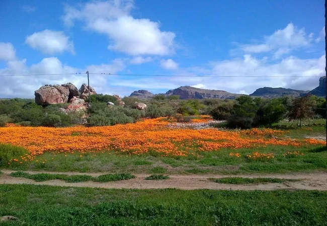 de-pakhuys-glamp-and-camp-clanwilliam-road-clanwilliam-rmccy