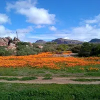 de-pakhuys-glamp-and-camp-clanwilliam-road-clanwilliam-rmccy