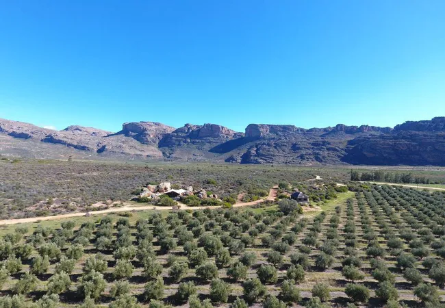 de-pakhuys-glamp-and-camp-clanwilliam-road-clanwilliam-xe6fg