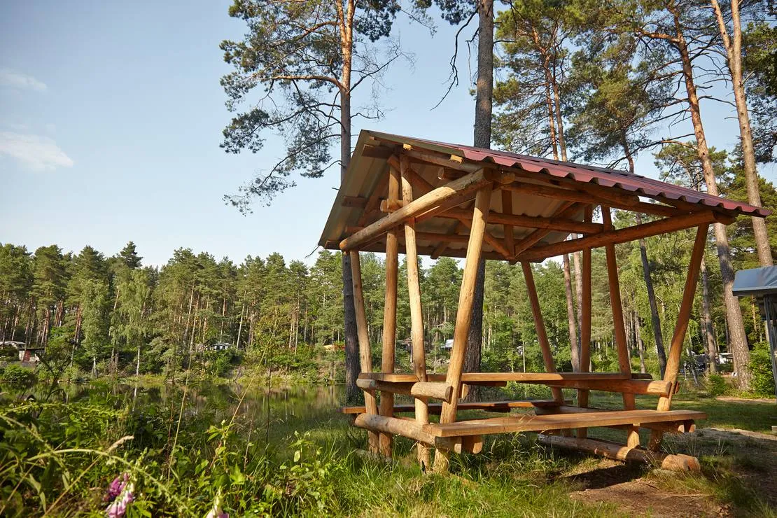 waldcamping-olympiasee-coswig-4zrht