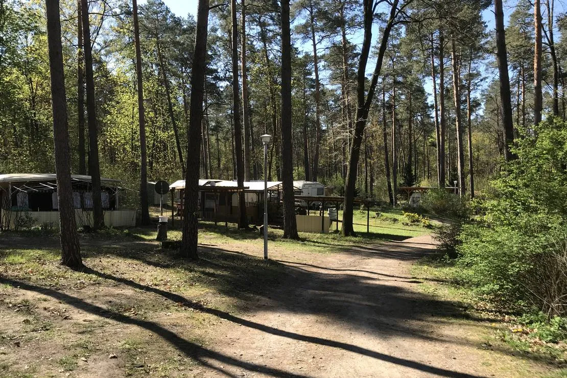 waldcamping-olympiasee-coswig-5iqhi