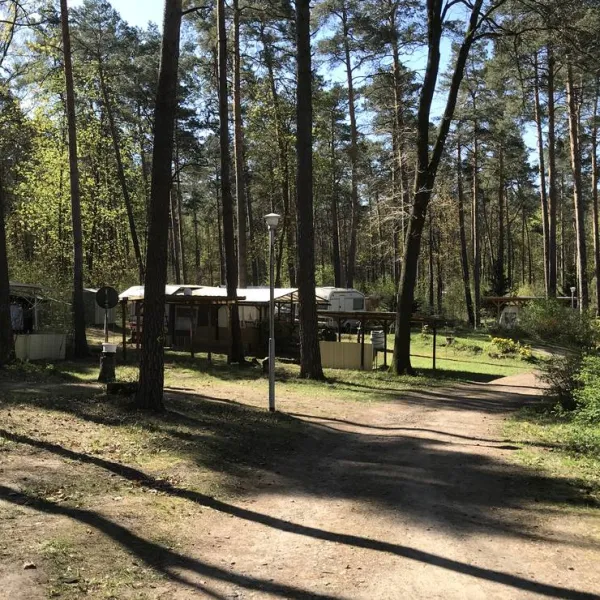 waldcamping-olympiasee-coswig-5iqhi