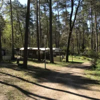 waldcamping-olympiasee-coswig-5iqhi