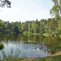 waldcamping-olympiasee-coswig-6dl7g