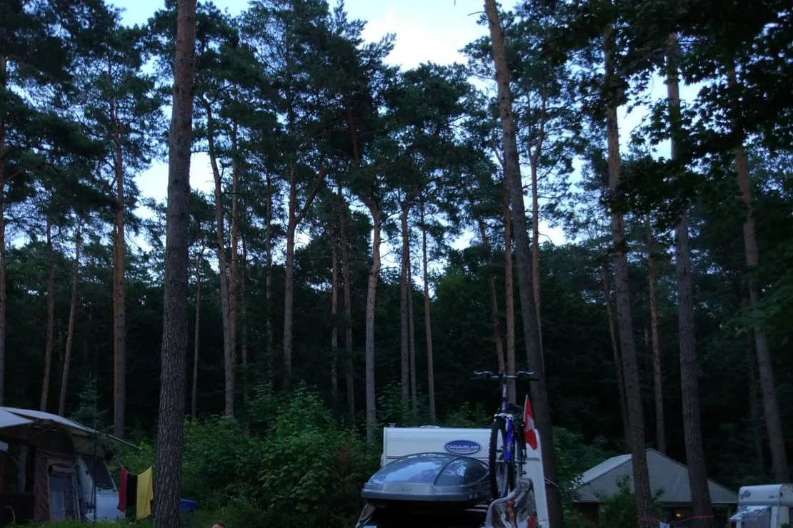 waldcamping-olympiasee-coswig-cbwom