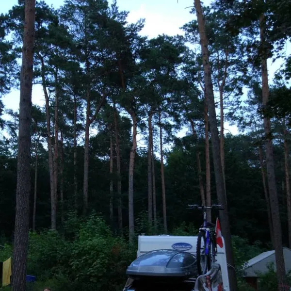 waldcamping-olympiasee-coswig-cbwom
