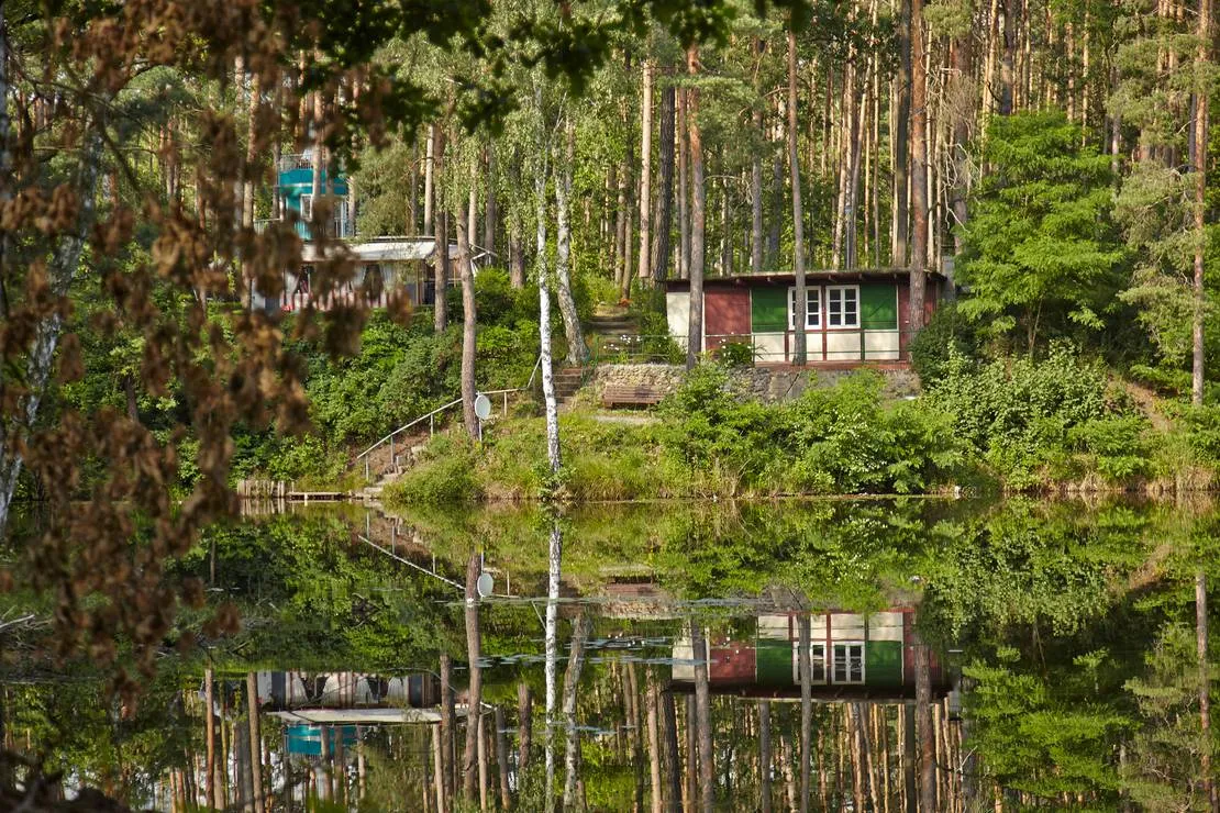 waldcamping-olympiasee-coswig-dzjtr