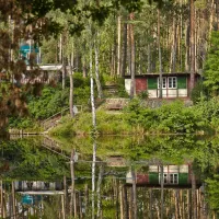 waldcamping-olympiasee-coswig-dzjtr