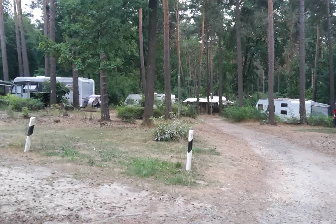 waldcamping-olympiasee-coswig-ftuss