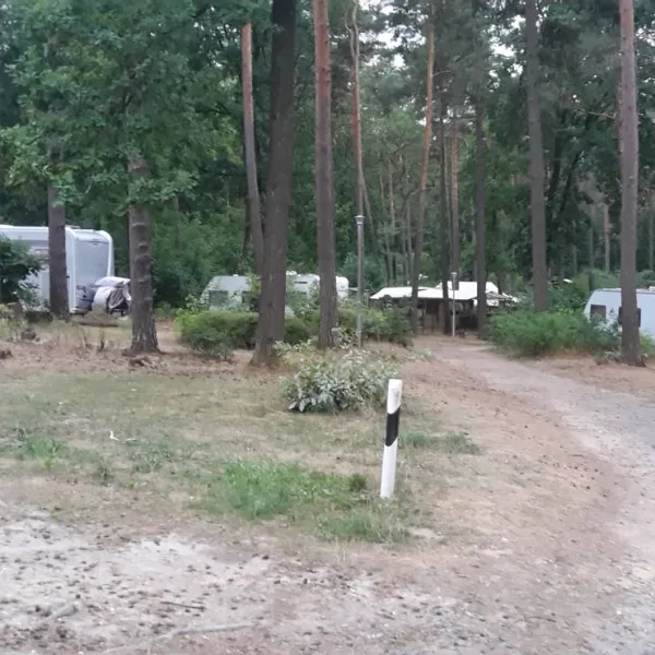 waldcamping-olympiasee-coswig-ftuss