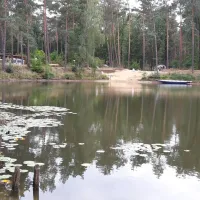 waldcamping-olympiasee-coswig-lub35