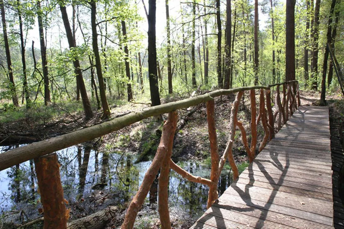 waldcamping-olympiasee-coswig-n0uom