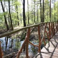 waldcamping-olympiasee-coswig-n0uom