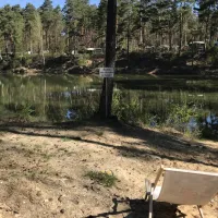 waldcamping-olympiasee-coswig-o6vnn
