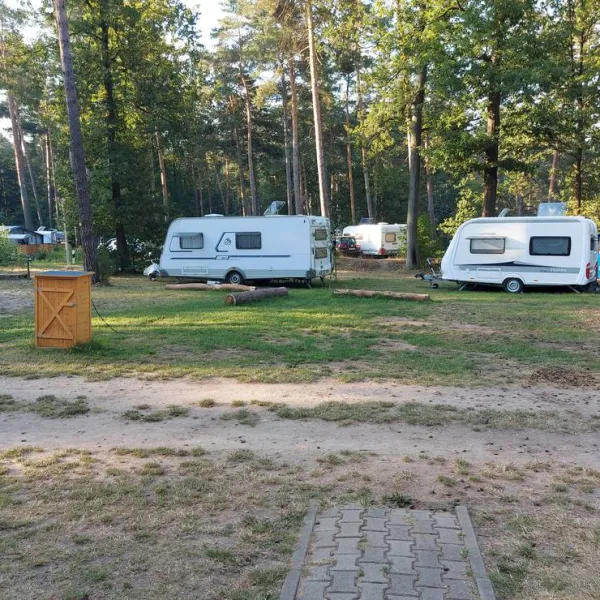waldcamping-olympiasee-coswig-rndnr