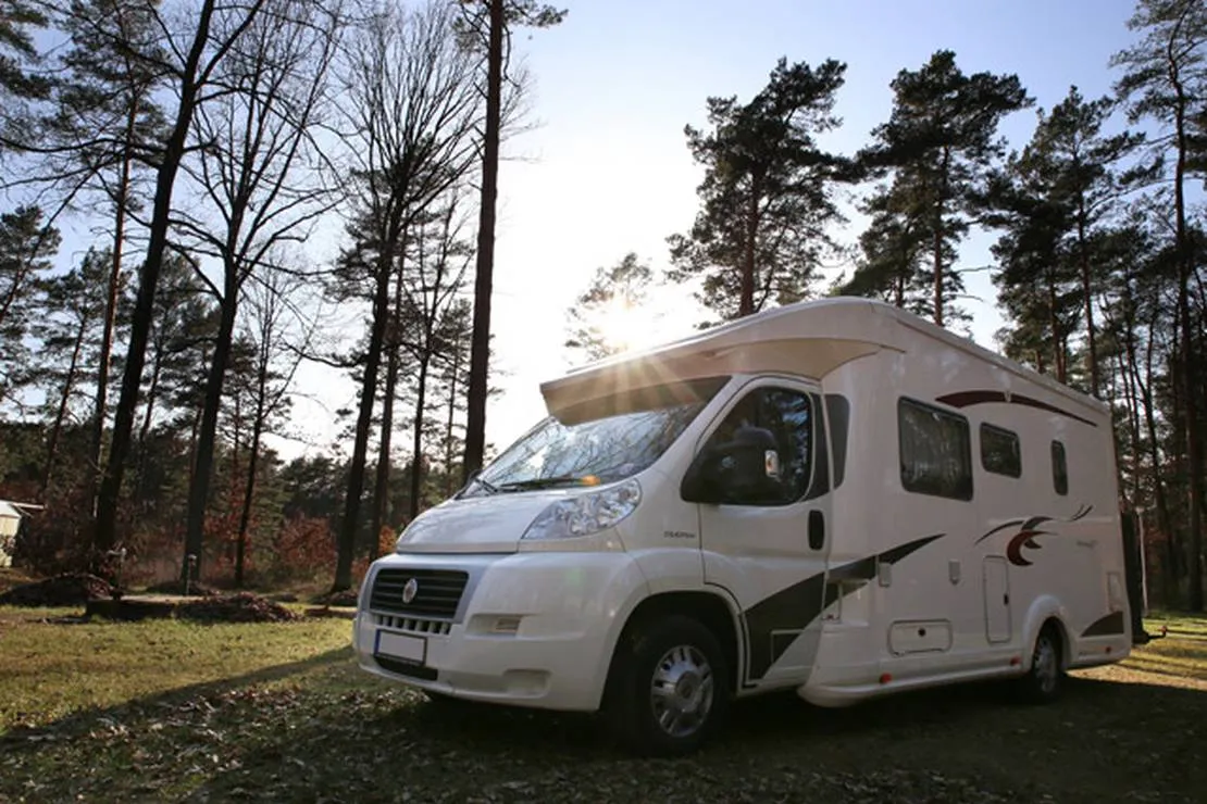 waldcamping-olympiasee-coswig-swxjd