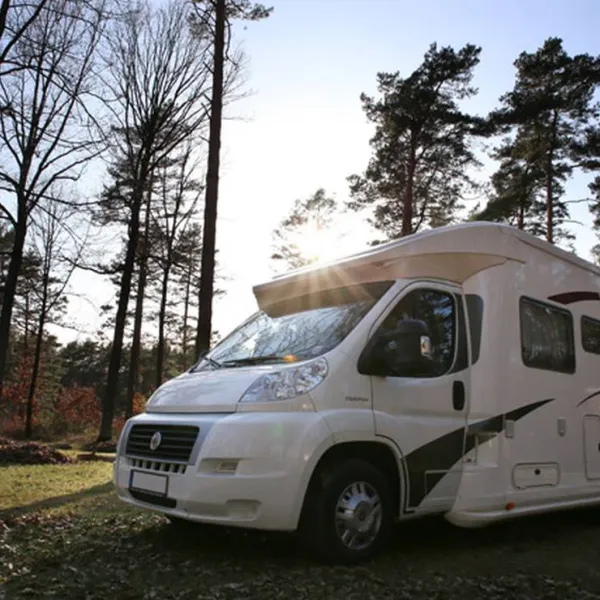 waldcamping-olympiasee-coswig-swxjd