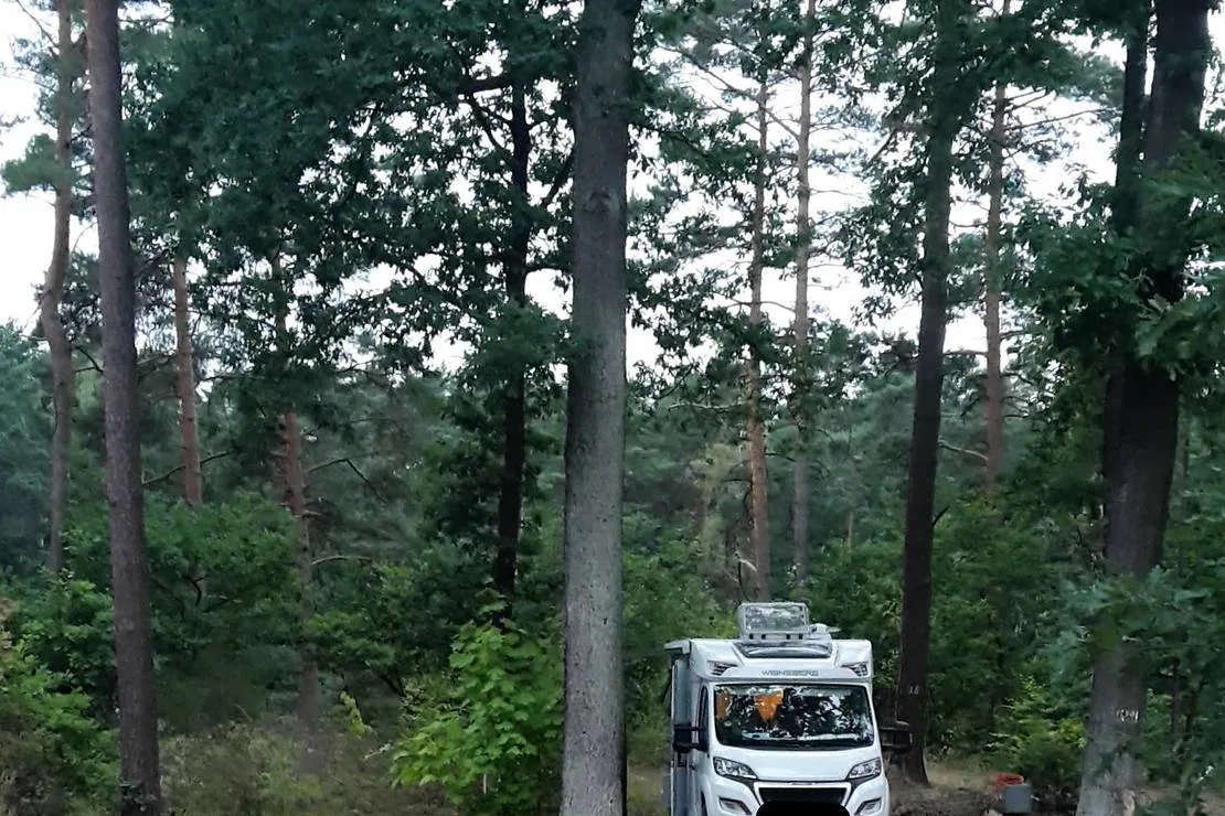 waldcamping-olympiasee-coswig-ypv9p