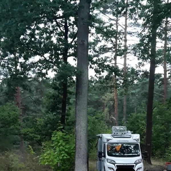 waldcamping-olympiasee-coswig-ypv9p