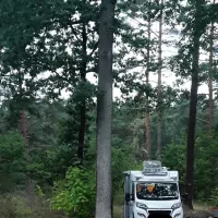 waldcamping-olympiasee-coswig-ypv9p