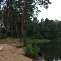 waldcamping-olympiasee-coswig-ywyrm