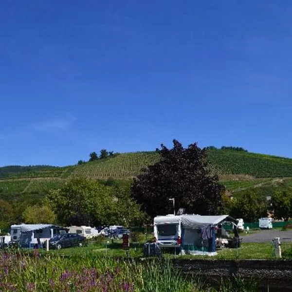 le-meacutedieacuteval-turckheim-haut-rhin-oofta