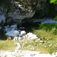 les-rives-de-lardeche-mayres-ardeche-sjuli