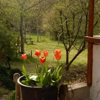 le-petit-papillon-minicamping-cussy-en-morvan-drhra
