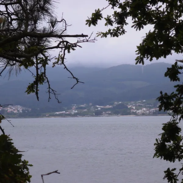 rio-ulla-villagarcia-de-arousa-g1aci