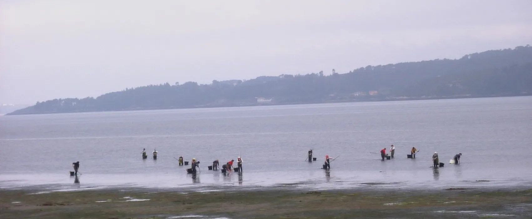 Rio Ulla