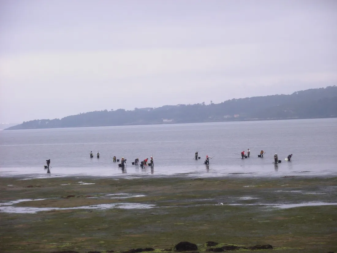 rio-ulla-villagarcia-de-arousa-u5ls1