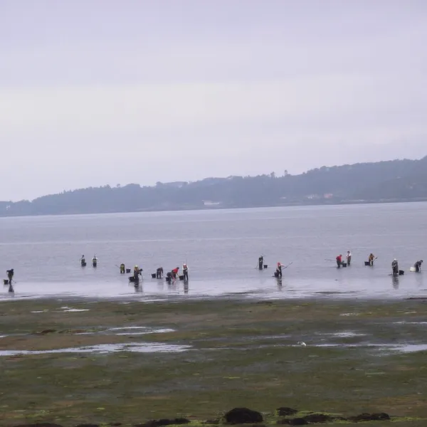 rio-ulla-villagarcia-de-arousa-u5ls1