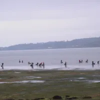 rio-ulla-villagarcia-de-arousa-u5ls1