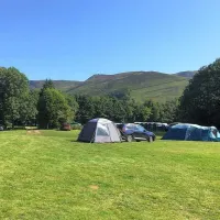 Newfold Farm Campsite