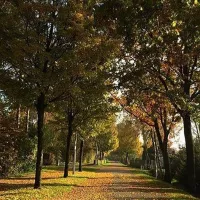 camping-und-freizeitanlage-dreilandersee-gronau-gronau-jtmoq